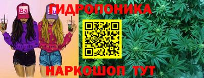 дживик Новокубанск
