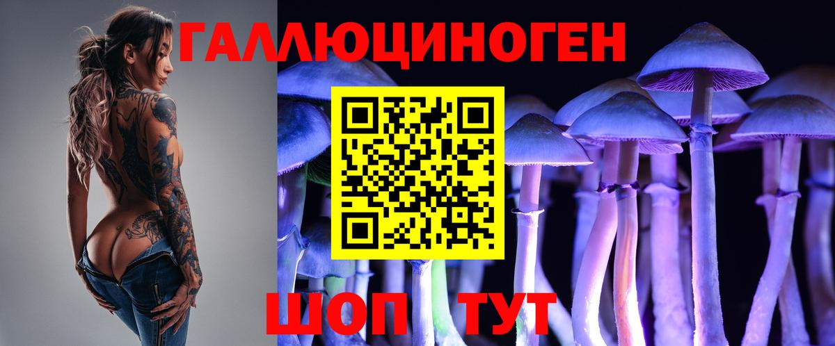 Ростов Великий  Псилоцибиновые грибы ЛСД  Вход с VPN 